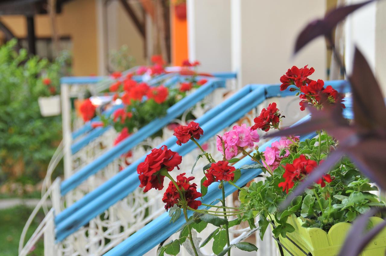 Tokgoz Butik Hotel&Apartment Ölüdeniz Exterior foto